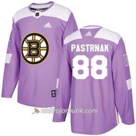 Män Ishockey Boston Bruins Tröja David Pastrnak 88 Adidas 2017-2018 Lila Fights Cancer Practice Authentic